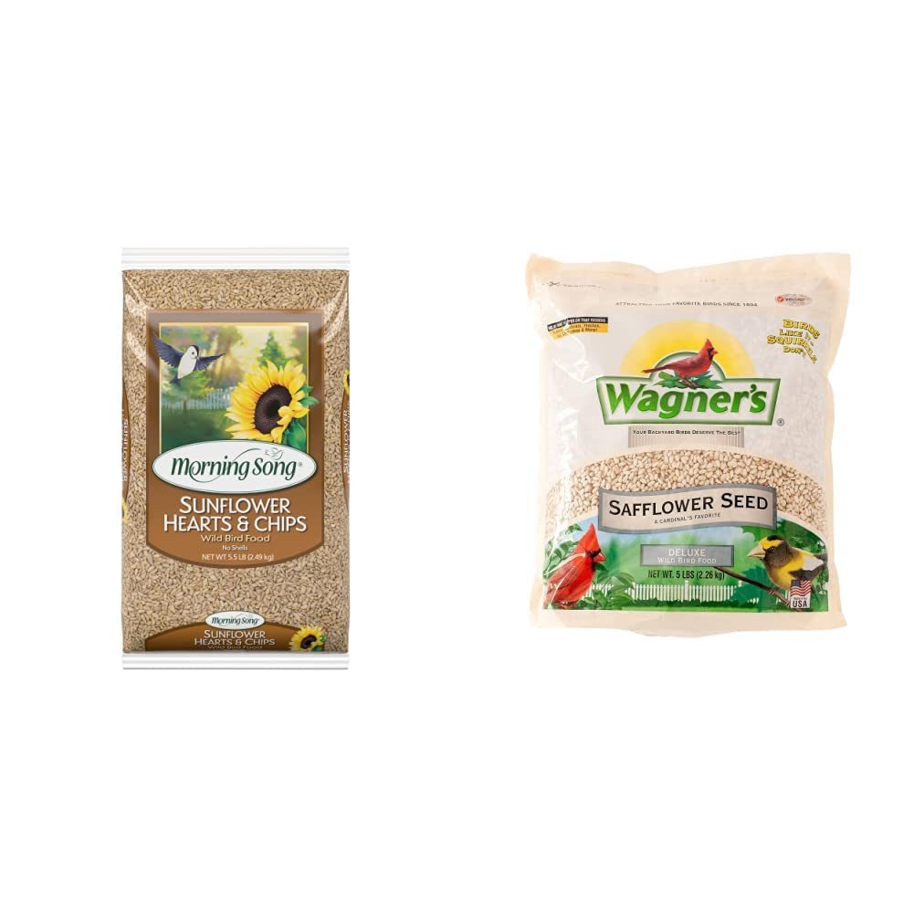 Morning Song Sunflower Wild Bird Food Bundle (5.5 lbs) | Wagner's Safflower Seed (5 lbs)