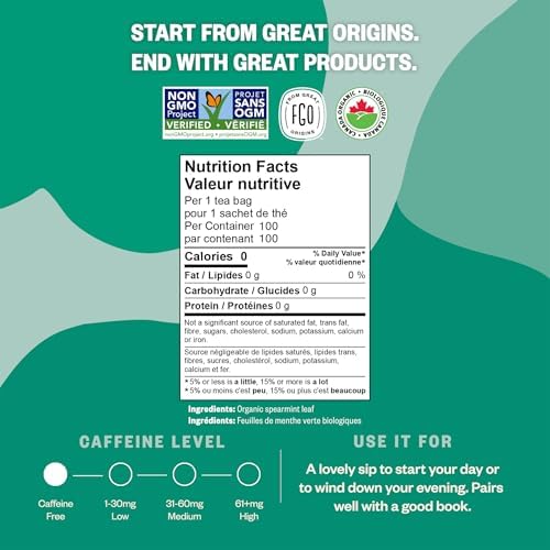 FGO Organic Spearmint Leaf Tea, 100 Count, Eco-Conscious Tea Bags, Caffeine Free, Resealable Bag, Packaging May Vary (Pack of 1) - 1