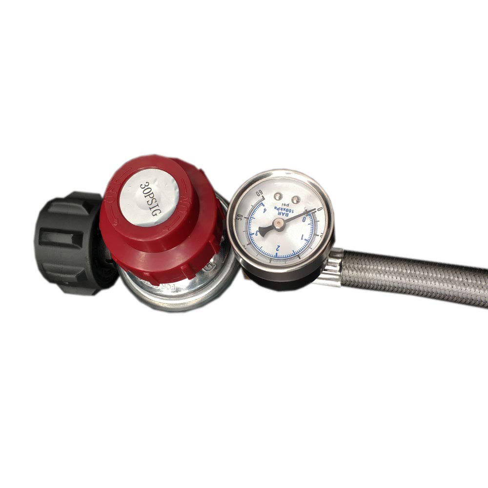 MENSI 0–30 PSI verstellbarer Regler mit Edelstahl-Geflechtschlauch für zwei Heizungen/Grills