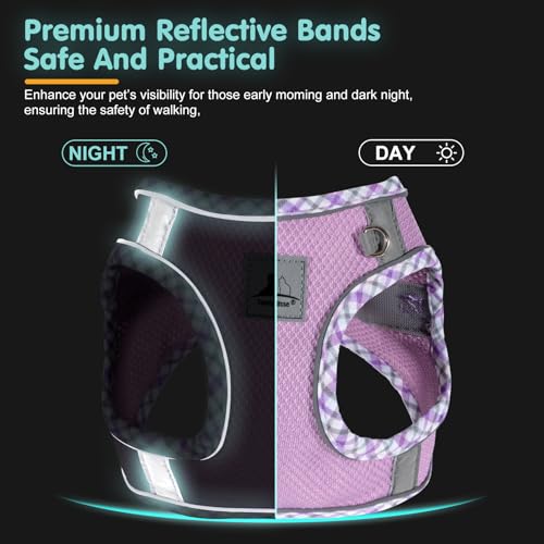 Dog Harness and Leash Set,Step-in Air Dog Vest, Reflective, No Pull Collarsfor Small, Medium Dogs, Cats - Secure with Hook & Loop Fastener, Buckle, Double D-Ring - Image 3
