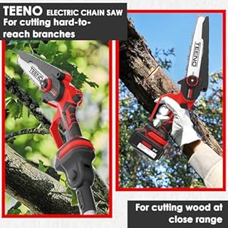 Potatore a palo TEENO, motosega elettrica, motosega elettriche 2 in 1, asta telescopica, 6 pollici, batteria 2 * 4000 mAH