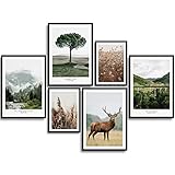 PREMIUM POSTER SET - Das 6er Bilder Set beinhaltet 4 x A3 (29,7 x 42 cm) und 2x A4 (21 x 29,7) - ohne Bilderahmen (without Frame).