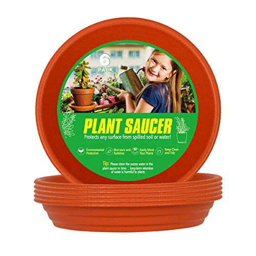 XOV Plant Saucer 6 Inch Trays Flower Pot Heavy Duty Plastic Drip Tray
