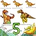 Dinosaur Birthday Party Supplies - Dinosaur Decorations, Foil Balloons, Banner & Cake Topper for Boys & Girls