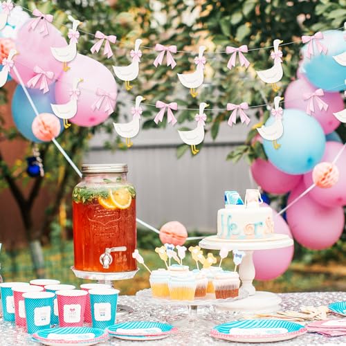 Image of TaoBary Pink 2 Set Bow Silly Goose Birthday Banner Silly Goose Party Decoration for Farm Animal Baby Shower Birthday Party Decorations