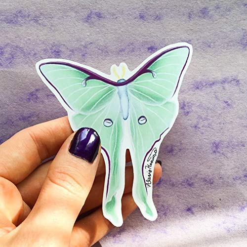 See What S New From Alexis Krauss Art Outdoors On Accuweather Shop