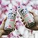 Bear 'n Beaver Premium Craft Cream Soda Soft Drinks Made with 100% Cane Sugar & Pure Vanilla - Vegan & Gluten-Free - Bold Caffeine Free Flavor for Mocktails, Floats & Mixing - 12 Pack of 16 Oz Cans