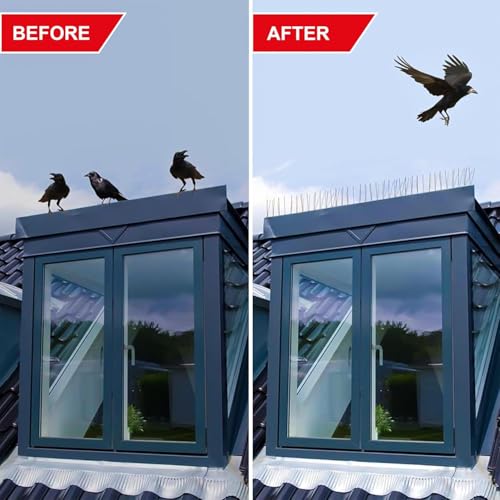 Image of SWAPKART (Pack of 50) Bird and Pigeon Spikes, Pigeon Control Spikes Anti Bird Plastic Spikes for AC Balcony Railing Window Home Protection from Pigeon Dog Monkey Crow Kabootar Transparent