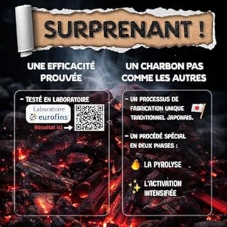 BAYTIZ ® Filtre à Eau Végétal au Charbon Actif - Baton de Binchotan Bio x5 - Purifier l' Eau du Robinet - en Bois Naturel - Carafe Bouteille - Vrai Purificateur Verre Filtrante Écologique Filtres