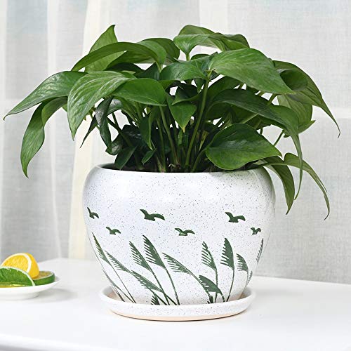Pot de fleur en céramique contre l'excès d'eau des succulentes - 6