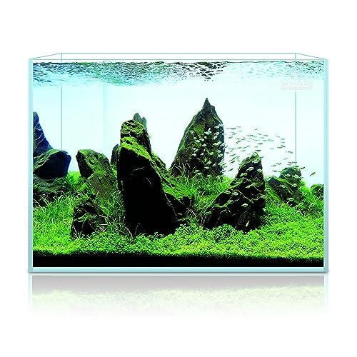 Image of LYPHARD AQUARIUMS 9.5 Gallon Rimless Aquarium, Ultra Clear Glass Low Iron Small Fish Tank for Betta, L15.7xW11.8xH11.8 Inches Thickness 5mm with EVA Foam Mat Included