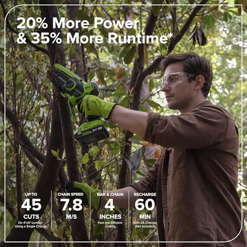 Image of Greenworks 24V 4' Brushless Mini Chainsaw (Auto Oiler, Tool-Free Tensioning, Ultra-Lightweight), Battery and Charger Not Included