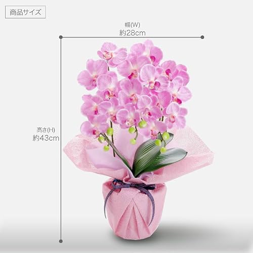 神戸花物語 胡蝶蘭 造花 ミディ ミニ胡蝶蘭 3本立ち フレッシュピンク SC/CT触媒 光触媒 お祝い 御祝 [4]