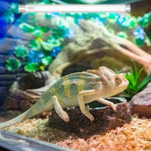 Luqixcey Reptile Light Bulb 10% UVB 18 Inch Vivarium Light T8 15W 450mm Lamp Bulb 30% UVA for Lizard, Snake, Bearded Dragon, Turtles, Tortoise, Gecko, Reptile Terrarium Vivarium Light Unit - Image 7