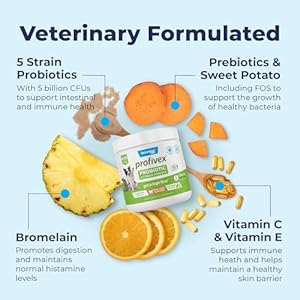 Vetnique Labs Profivex Probiotics for Dogs All Natural Dog Chews  Powder for Digestive Health Probiotic Supplements for Dogs 5 Strains of Probiotics  Prebiotics powder 425oz  Cucciolini Doodles Vetnique labs profivex probiotics for dogs all natural dog chews  powder for digestive health probiotic supplements for dogs 5 strains of probiotics  prebiotics powder 4 25oz   cucciolini doodles