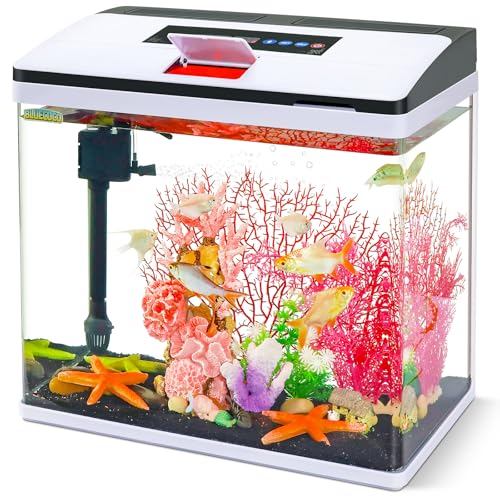 Glass Aquarium Fish Tank Starter Kit