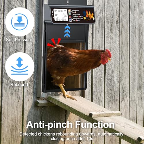 Image of Automatic Chicken Coop Door Solar Powered with Timer & Light Sensor | Automatic Chicken Door with LCD Display, Solar Chicken Coop Door with Remote Control, Anti-Pinch Function & Made of Al-Alloy