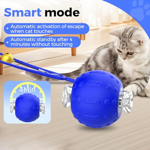 Interactive Moving Cat Toy on Sale - Realistic Tail & Play Modes - Image 3