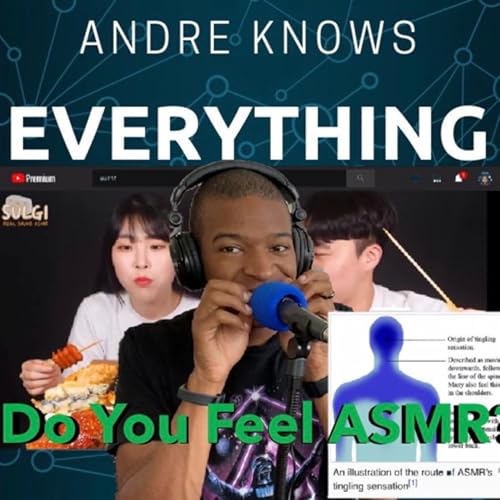 Do You Feel ASMR? |Ep. 13 cover art