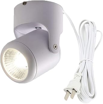 ANYE High Accent Uplight 12W LED Spotlight 3000K Warm Light Decorative Light Adjustable White Body 5.9ft Cord for Loft Gallery Exhibition
