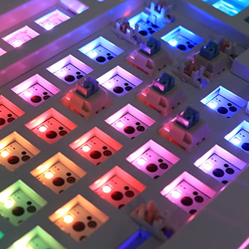 Epomaker Budgerigar 30 Pieces 47Gf Tactile Mechanical Keyboard Switches Set, 55Gf Initial Force Factory Lubed Switch With Pom Stem, Dual Spring, Nylon Housing For Gaming Diy Keyboard #TOP5