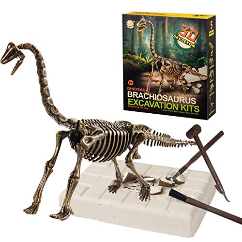 ALLCELE Jouets d'excavation archéologique fossile de dinosaure, jouets d'apprentissage pour enfants, meilleur cadeau pour garçons et filles (brachiosaurus) Cover