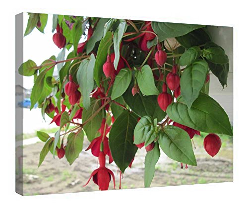 Lienzo decorativo y enmarcado de flores en cesta para salón y dormitorio, 16 x 20