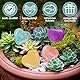 UICCVOKK 24 Stück Herzsteine, Herz Edelsteine, Herz Aus Stein Edelsteine Kristalle Heilsteines, Heilung Kristall Edelsteines für Muttertagsgeschenk, für Meditation, Chakra, Reiki, Energieausgleich
