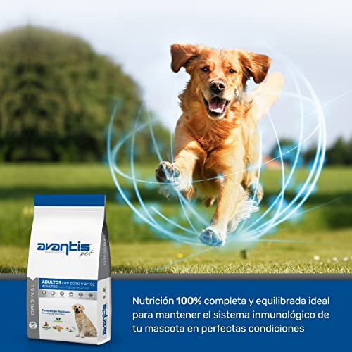 Avantis Pet Original Futtermittel für Erwachsene Hunde mittlerer und großer Rassen, 15 kg, 100% vollständiges und ausgewogenes Futter - sehr ernährungsphysiologisch mit Huhn und Reis