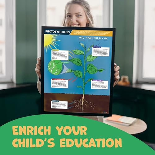 Image of Hubble Bubble Kids Science Posters for Classroom Decoration - 4 Biology Posters include DNA Poster, Photosynthesis, Plant Cell and Animal Cell. Each Poster is 16x20 inches.
