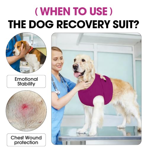 Image of BRKURLEG Dog Chest Recovery Suit After Surgery, Purple L | Dog Chest & shoulder Wound Cover, Breathable & Soft Anti-Licking Wound Vest, Not for Spay /Neuter Surgeries, Cone Alternative