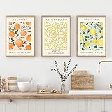 ctriqure Abstrakte Zitrone Blume Orange Pflanze Vintage Beige Poster Personalisierte Leinwand Malerei Wand Kunstdruck Bilder Wohnzimmer Inneneinrichtung Wohnkultur 50x70cmx3 Ungerahmt