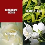 Paul Sebastian DESIGN Perfume For Women, Day & Night Soft Floral Fragrance Spray, 3.4 oz - Image 3