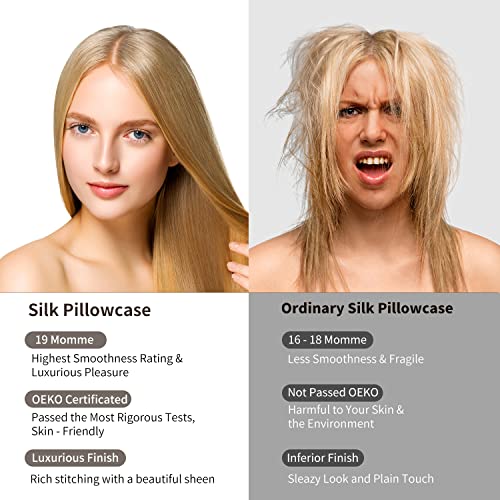 100% Pure Mulberry Silk Pillowcase For Hair & Skin - Allergen Resistant Dual Sides 19 Momme 600 Thread Count Silk Bed Pillow Cases With Hidden Zipper, Queen Size #TOP4