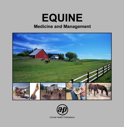 Equine: Medicine and Management 0970115903 Book Cover