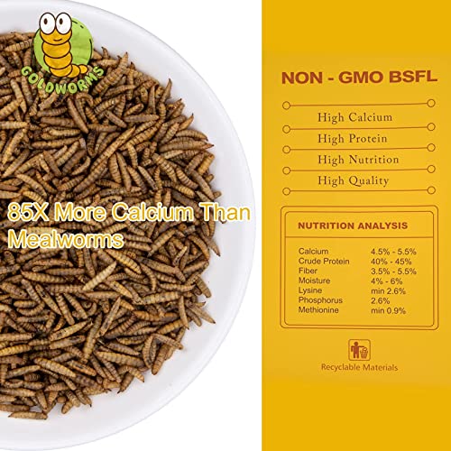 GOLDWORMS 10LBS Dried BSF Larvae/Dried Mealworm,85x More Calcium Than Mealworms,100% Natural - Non GMO Black Solider Fly… - Image 3