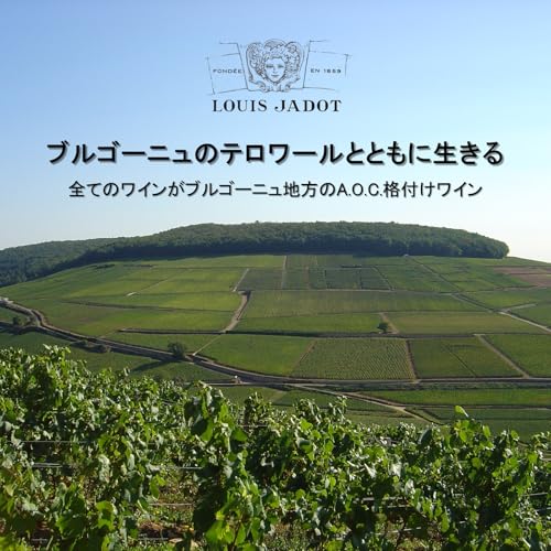 ルイ・ジャド マール・ド・ブルゴーニュ ブランデー 700ml