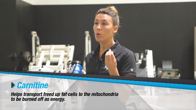 6 BPI+Carnitine+Non+Stimulant+Supplement+Servings