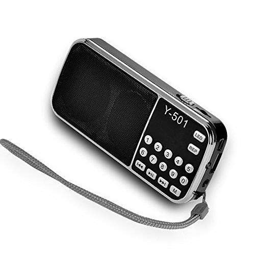 FM Radio Klein, usb Radio mit Akku Support TF-Karte / USB Disk / MP3, Mini Radio Tragbar mit LED-Display(Schwarz)