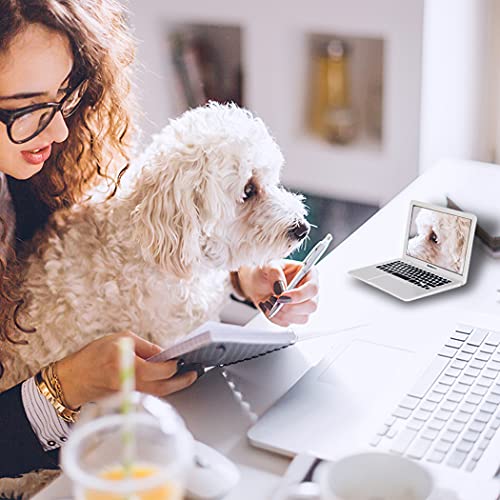 Ebuddy Mini Dollhouse Toy Cat Laptop Tiny Fake Computer Mirror For Cat #TOP5