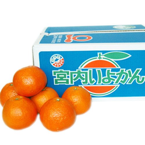 「ファミリーいよかん5」 愛媛産伊予柑 ファミリー用5kg (Lサイズ：約25個入 / 2Lサイズ：約22個入)【1～5営業日以内当店発送】のサムネイル