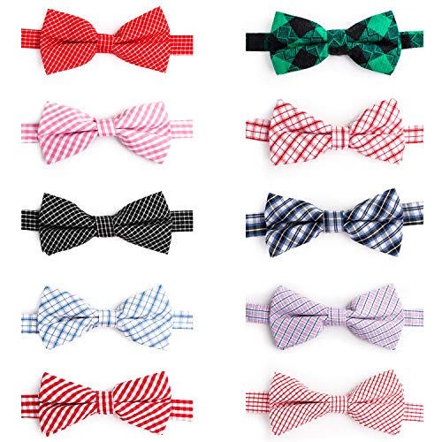 JUNENTER qplN^C 10 plN^C oNzf[ Lp O[~OplN^C ybgʐ^Be tFXeBo p[eB[ pMtg L[gŃ`FbN