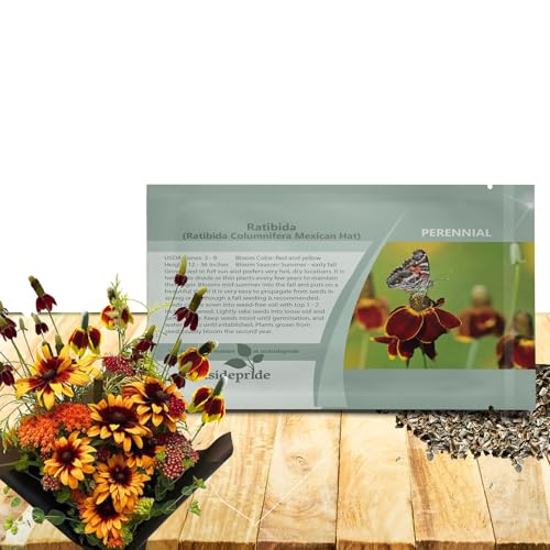 Outsidepride Mexican Hat Ratibida Seeds - 10000 Pcs Perennial Sombrero-Shaped