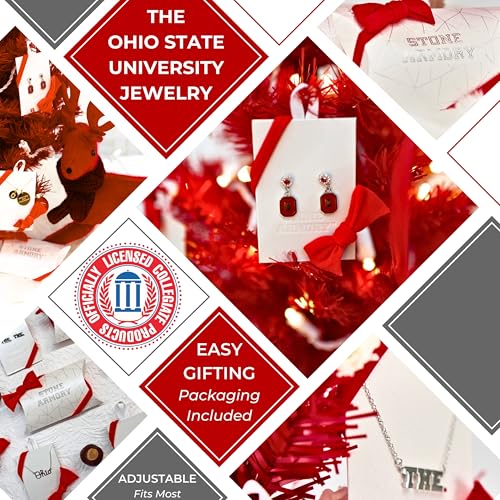 Stone Armory Earrings for Ohio State University Jewelry Gifts for Women, Graduation – Stainless Steel Skin-Friendly OSU Buckeyes drop earrings by Stone Armory - Used condition - Image 2