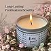 Magnificent 101 Long Lasting Love You Aromatherapy Tin Candle | 6 Oz - 35 Hour Burn | All Natural Soy Wax with Vanilla, Lavender, Rose, Jasmine, Lilac for Romance, Purification, Manifestation