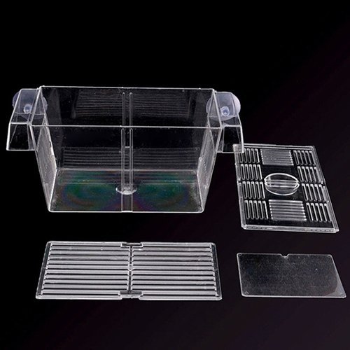 Yinong S/M opbergbak van plexiglas viskweek isolatie box (12 x 7 x 7 cm) - Afbeelding 5