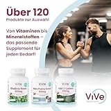 Teufelskralle & Weidenrinde - 90 Kapseln - schluckfreundlich - standardisierte Extrakte mit Harpagosiden und Salicin - hochdosiert und vegan | Qualität aus Deutschland von ViVe Supplements
