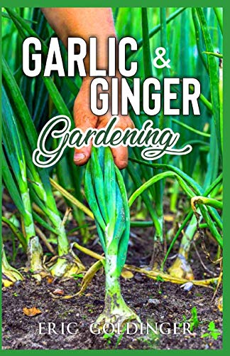 GARLIC & GINGER GARDENING: Simplified Guide To Growing & Harvesting Ginger and Garlic / Medicinal Usage & Cooking Recipes