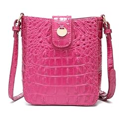 1-dragon Fruit Color