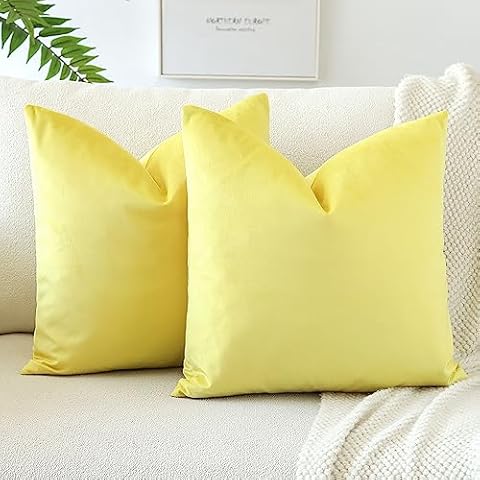 JOTOM Set of 2 Velvet Cushion Covers Cover